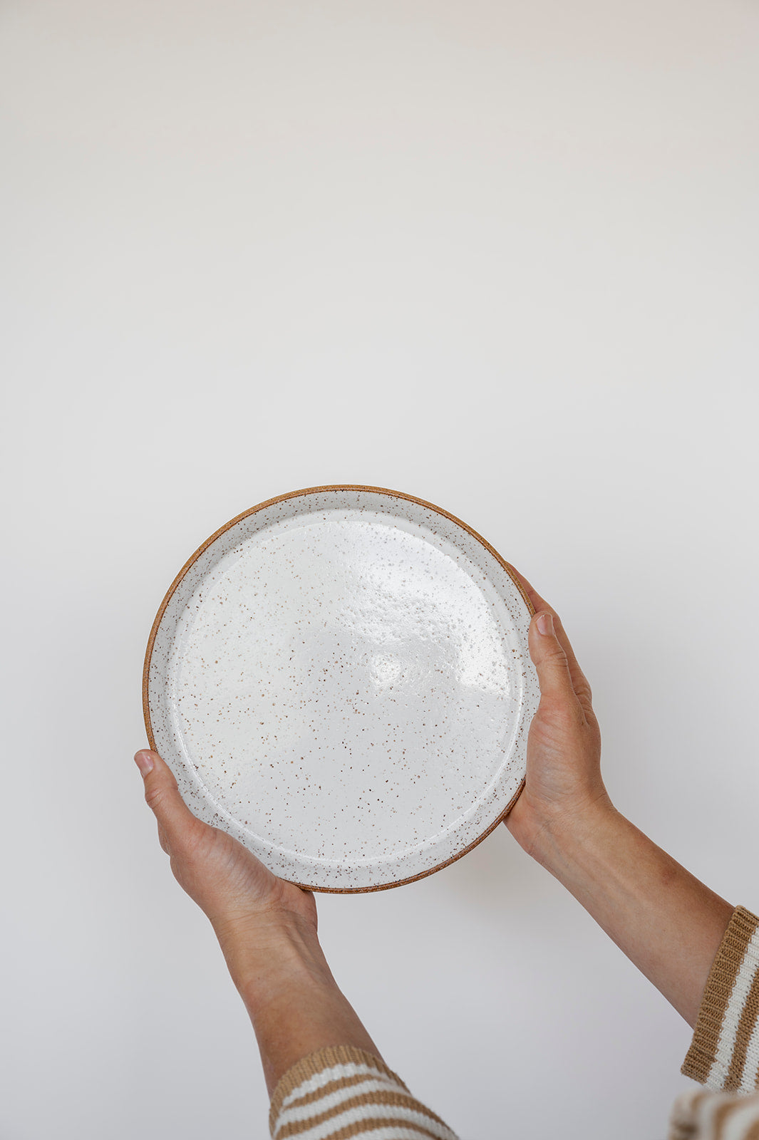 Dinner Plate