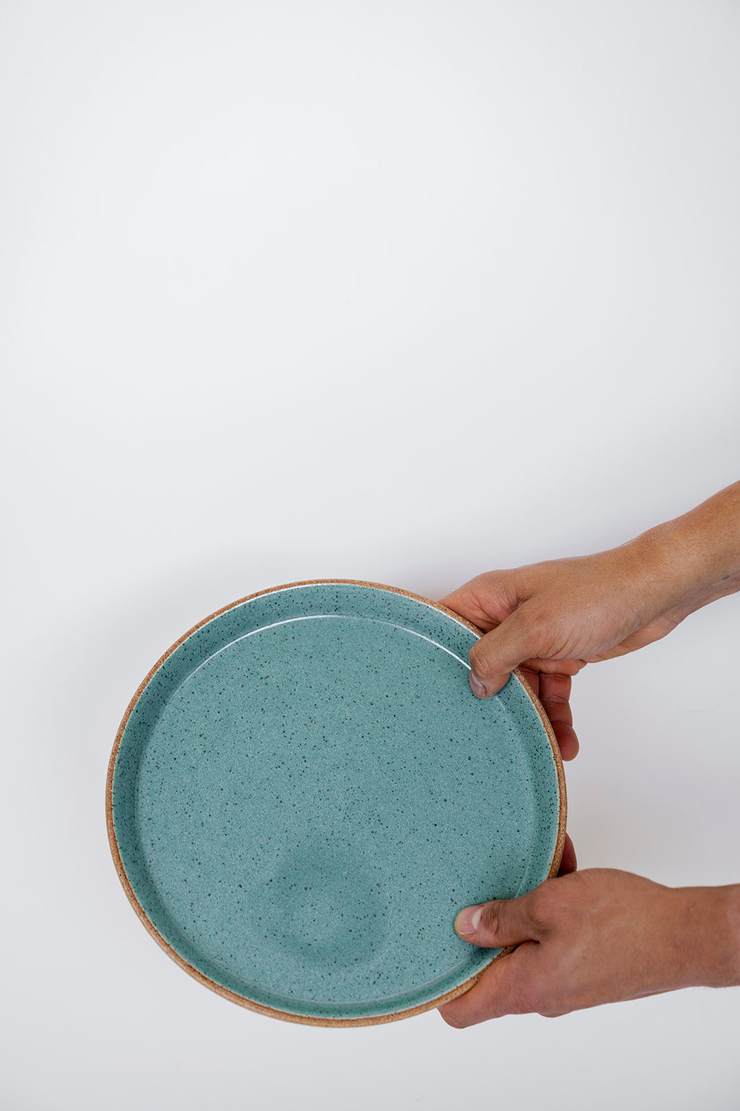 Dinner Plate